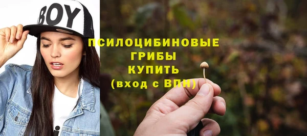винт Арсеньев