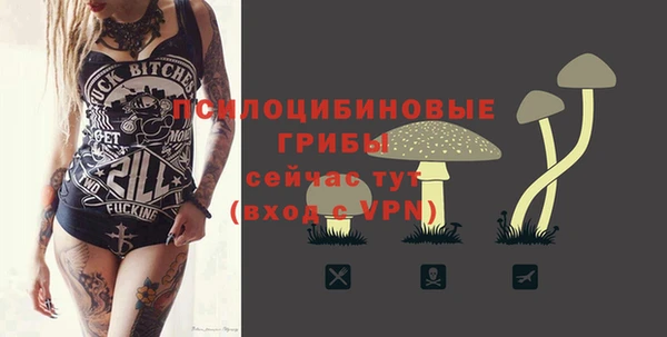 дживик Армянск