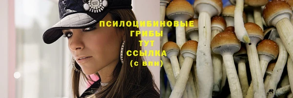 винт Арсеньев