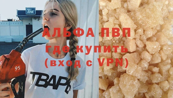 СК Аркадак