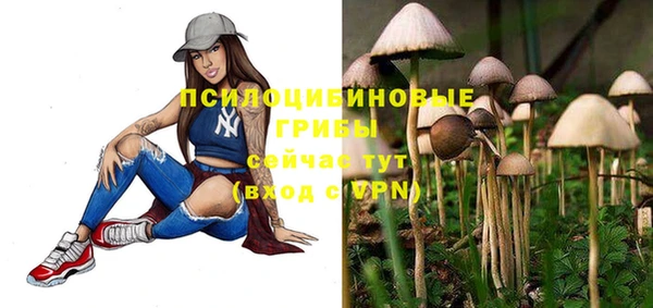 СК Аркадак